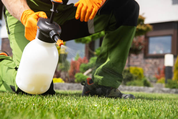 Best Seasonal Pest Control  in Summerside, OH